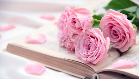 Photo for Roses and old book. Toned image - Royalty Free Image