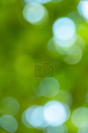 Foto de Abstracto difuminado color verde para el fondo, difuminado y desenfocado efecto primavera concepto para el diseño - Imagen libre de derechos
