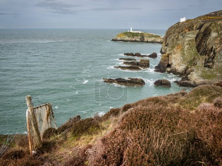 Photo for South Stack Lighthouse isle of Anglesey North Wales - Royalty Free Image