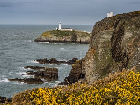 Photo for South Stack Lighthouse isle of Anglesey North Wales - Royalty Free Image