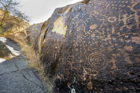 Photo for Petroglyphs in the Nez Perce National Historical Park, WA - Royalty Free Image