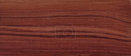 Téléchargez les photos : Échantillon de couleur de palissandre indien. Dalbergia latifolia a des teintes de brun rouge et d'autres caractéristiques sombres. Très prisé pour la fabrication de guitare et l'un des bois d'occasion les plus populaires pour luthiers à guitare. - en image libre de droit