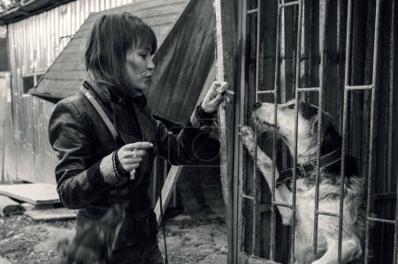 Téléchargez les photos : Chien dans un abri. Un bénévole d'un refuge pour animaux s'occupe des chiens. Un bénévole s'occupe d'un chien dans un refuge. Image en blanc noir - en image libre de droit
