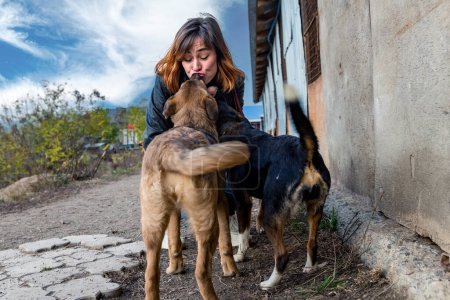 Foto de Perro en el refugio. Animal refugio voluntario se encarga de los perros. Perros solitarios en jaula con mujer alegre voluntaria. - Imagen libre de derechos