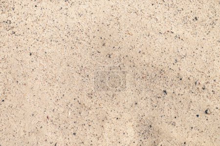 Photo for Sand background. Sea beach sand texture background - Royalty Free Image