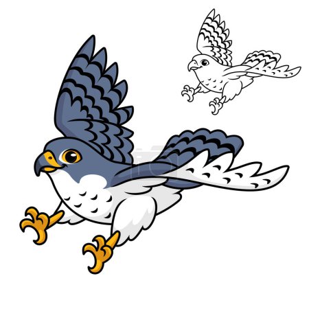 Illustration for Cute Peregrine Falcon Flying Ready Pounce Prey with Line Art Drawing, Animal Birds, Vector Character Illustration, Cartoon Mascot Logo in Isolated White Background - Royalty Free Image