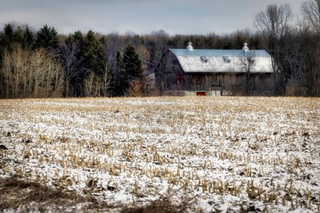 Foto de Un maizal cubierto de nieve con un viejo granero en el fondo se encuentra en Kossuth, un área cerca de Manitowoc, Wisconsin. - Imagen libre de derechos
