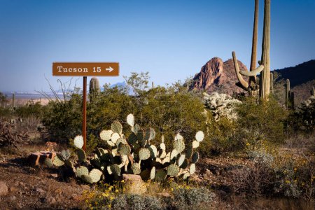 Photo for A sign for Tucson stands in the west district of the Saguaro National Park in the Sonoran Desert of Arizona. - Royalty Free Image