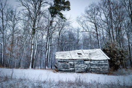 Photo for Snow falls on the remains of a house or cabin in Manitowoc County, Wisconsin. - Royalty Free Image