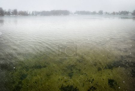 Photo for Looking at the bottom of English Lake near Manitowoc, Wisconsin during a January snow storm. - Royalty Free Image