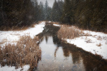 Photo for A stream during a snow storm near Baileys Harbor, Wisconsin. - Royalty Free Image