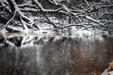Photo for Snow falls on the shores of the Branch River in Reifs Mills near Manitowoc, Wisconsin. - Royalty Free Image