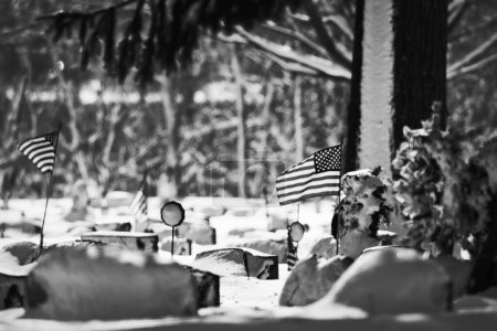 Photo for American flags fly at a snow covered cemetery in northern Wisconsin. - Royalty Free Image