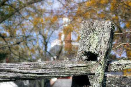 Photo for A springtime scene with a moss covered fence post at Williamsburg, Virginia. - Royalty Free Image