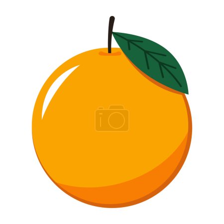 Mandarin orange on white background vector - illustration. Chinese New Year Mandarin Orange.