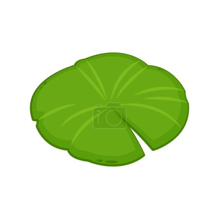 Lily pad icon. Lily cartoon vector on white background.