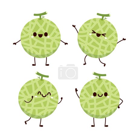 Melon character design. melon on white background. Melon cartoon.