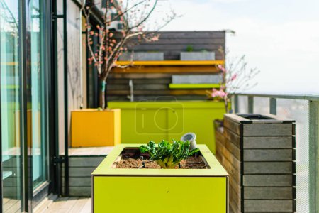 Hermosa terraza en la azotea con suelo de madera con jardineras amarillas y verdes para la jardinería urbana y árboles con flores