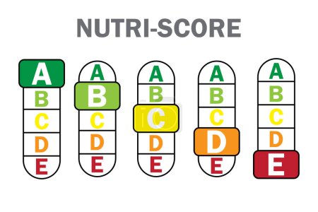 Illustration for Colorful packaging with nutri score. Set of different highlighted letters.Vector illustration. EPS 10. - Royalty Free Image