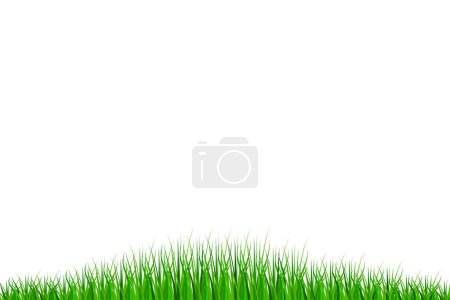 Illustration for Grass border. Summer natural background, green grass. Vector illustration. Eps 10. Stock image. - Royalty Free Image
