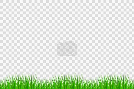 Illustration for Grass border. Summer natural background, green grass. Vector illustration. Eps 10. Stock image. - Royalty Free Image