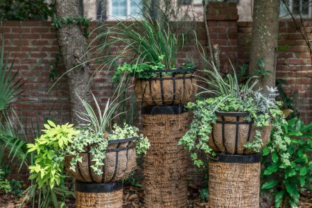 Photo for A set of three raised outdoor plants in planter basket liners with a variety of plants for a landscaped unique look. - Royalty Free Image