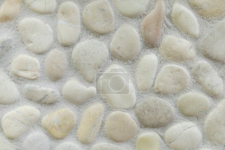 Photo for White beige river rock with white grout as a shower bathroom wall or kitchen backsplash. - Royalty Free Image
