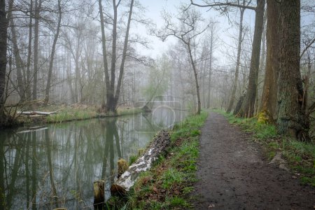 Téléchargez les photos : Canal d'eau au printemps dans la réserve de biosphère Spree forest, Spreewald, à Luebbenau dans l'état de Brandebourg, en Allemagne. Photo de haute qualité - en image libre de droit