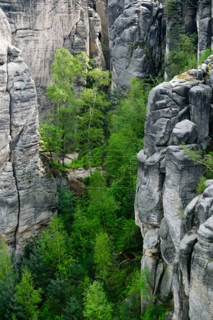 Prachov rocks, Prachovske skaly, in Bohemian Paradise, Cesky raj, Czech Republic. High quality photo