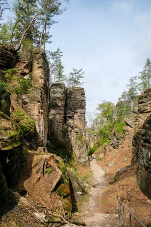 Foto de Prachov rocas, Prachovske skaly, en Bohemian Paradise, Cesky raj, República Checa. Foto de alta calidad - Imagen libre de derechos