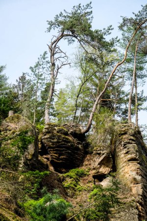 Prachov felsen, Prachovske skaly, im Böhmischen Paradies, ?eský raj, Tschechien. Hochwertiges Foto