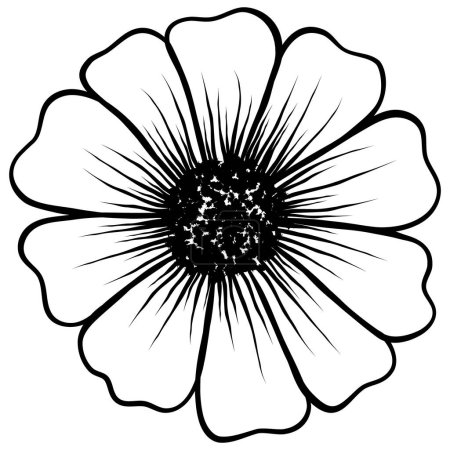 Ilustración de Cosmos flor dibujado a mano estilo vintage, vector de ilustración - Imagen libre de derechos