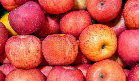 Foto de Montón de manzanas maduras en caja, vista de primer plano - Imagen libre de derechos