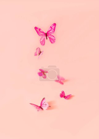 Pink butterflies flying over a pastel pink background. Romantic spring wallpaper with copy space.