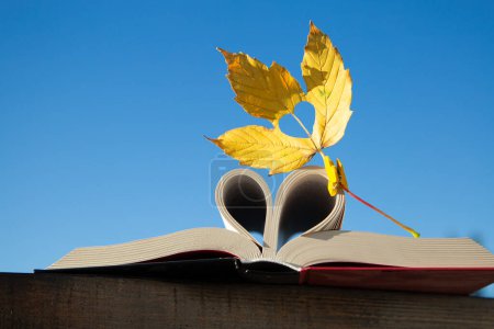 Téléchargez les photos : Bonjour, Automne. amour automne et livres. Un livre ouvert et une feuille jaune d'automne avec un cœur découpé contre le ciel bleu. concept d'éducation - en image libre de droit