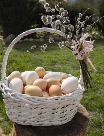 Photo for Many freshly collected chicken eggs and a bouquet of willows in a wicker basket on the grass on a sunny day. Preparation for Easter. Palm Sunday. Orthodox religious traditions - Royalty Free Image