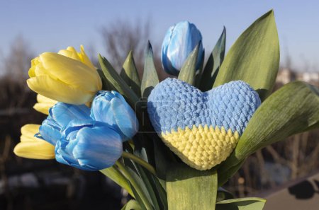 Strauß blauer und gelber Tulpenblumen der ukrainischen Flagge und ein gestricktes Herz. Wiederbelebung der Natur, Frieden für die Ukraine. Sonniger Frühlingstag, Muttertag, Blumengeschenk. Liebe zum Vaterland