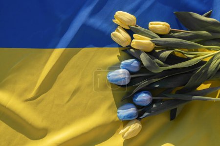 spring flowers of blue and yellow tulips lie on the Ukrainian flag. Ukraine will win and be reborn. Support for Ukraine. stop the war. Independence Day. Belief in victory