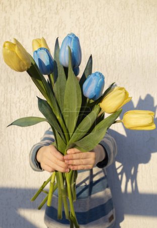 Strauß gelber und blauer Frühlingstulpen in den Händen eines Kindes. Patriotisches Geschenk mit Liebe, Dankbarkeit. Muttertag. Unterstützung für die Ukraine. Unabhängigkeitstag