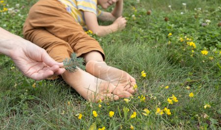 bare feet of a child lying in a meadow and is tickled by a fir branch. People having fun in the summer park. positive thinking, good mood. A fun time for family, happy childhood