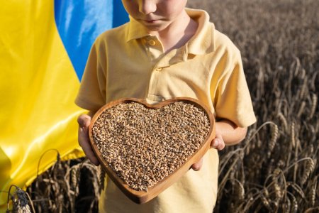 children's hands hold heart-shaped plate full of ripe grains of wheat, in background there is yellow - blue flag. pride, national symbol . Stop war in Ukraine. value of grain for Ukrainians