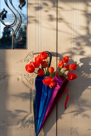 Beautiful red tulips in a multi-colored umbrella hanging on the handle of the front door. Surprise, pleasant unexpected gift, sign of attention, gratitude. Sunny spring joyful day, mother's day