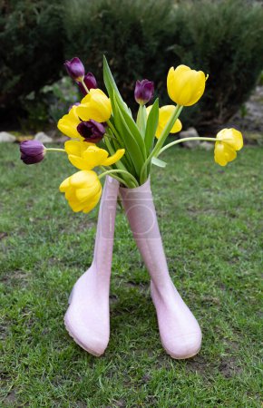 Flower surprise with love. bouquet of fresh tulips in rubber boots on green grass in the garden. Hi spring. Earth Day. Gift for mom for mother's day. rainy weather