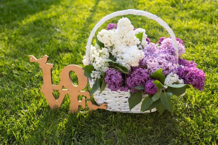 wicker basket with a bouquet of fresh blooming lilacs in white and purple flowers on a green lawn on a sunny day. Nearby is the wooden word love. Floral gift for mom or loved one