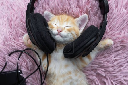 Porträt eines niedlichen roten Kätzchens, das mit Kopfhörern auf dem Rücken auf einem rosafarbenen weichen Kissen liegt. Komfort und Entspannung für Ihr geliebtes Haustier. Humor. Katzentag. Katze ist ein Musikliebhaber