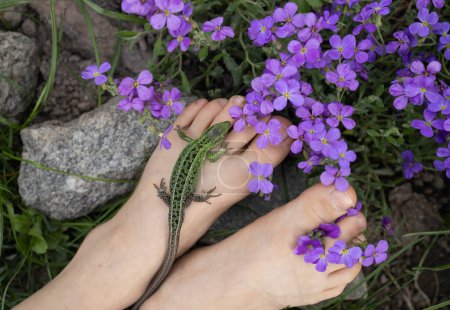 green lizard sits on a barefoot child s foot, next to many small purple flowers. Hello summer and holidays. The child loves reptiles and studies the animal world of nature. zoology