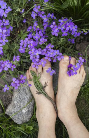 lézard vert grimpé sur le pied nu de l'enfant parmi de nombreuses petites fleurs violettes. Bonjour, été et vacances. L'enfant aime les reptiles et étudie le monde animal de la nature. s'impliquer dans la zoologie