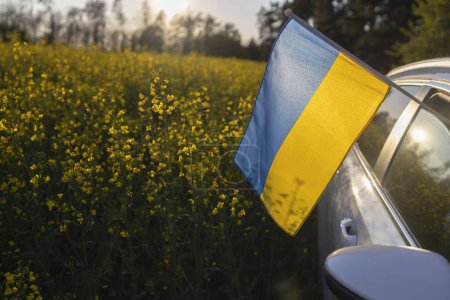 Mit dem Auto unterwegs. Auto fährt im Frühling oder Sommer offroad durch ein blühendes gelbes Rapsfeld. Die ukrainische gelbe und blaue Flagge ragt aus dem Fenster. Nationales Symbol für Freiheit und Unabhängigkeit