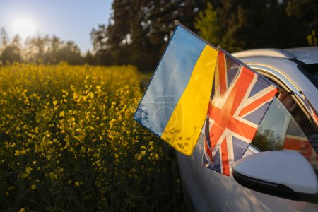 flags of Ukraine and Great Britain stick out of car window among blooming rapeseed field in backlight. Concept of cooperation and partnership between two European countries. Support for Ukraine.