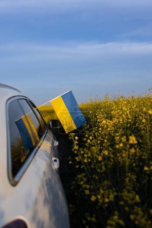 Mit dem Auto durch die Ukraine reisen. Das Auto fährt geländegängig durch ein blühendes gelbes Rapsfeld. Eine ukrainische gelb-blaue Flagge ragt aus dem Fenster. Nationales Symbol für Freiheit und Unabhängigkeit